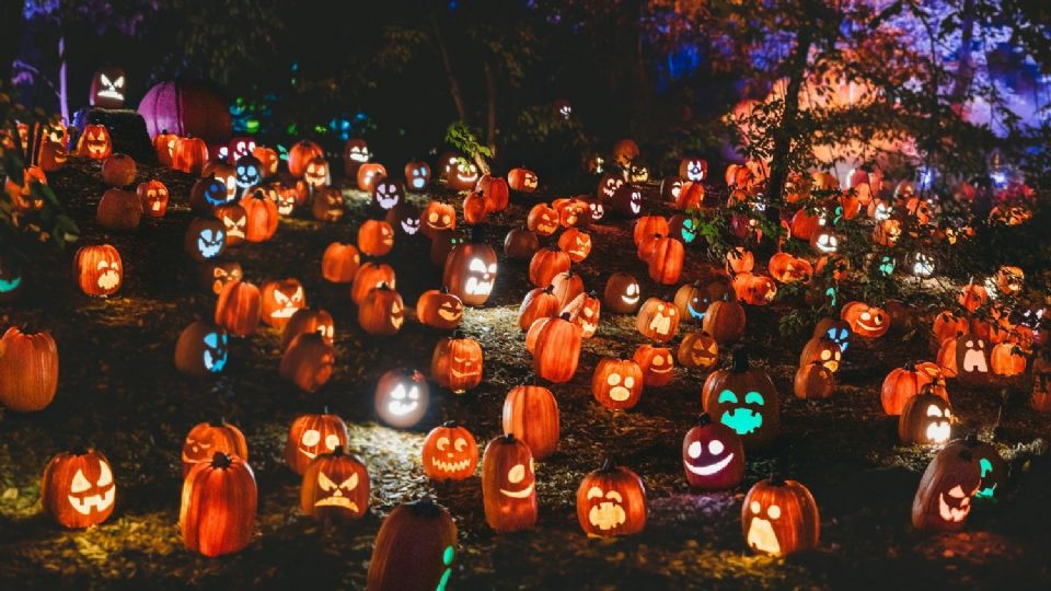 En Nuevo León destacan dos festivales que engloban los aspectos más característicos del otoño