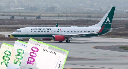 Mexicana de Aviación lanza descuento del 50 % en la transportación de mascotas; requisitos