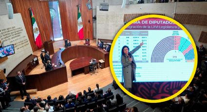 'TEPJF ya ha hecho interpretaciones constitucionales en favor de las minorías': Paula Sofía Vázquez