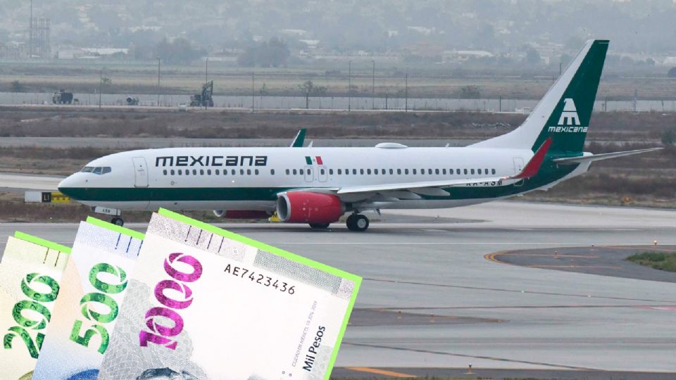 Mexicana de Aviación ofrece el 50% de descuento en transportación de mascotas