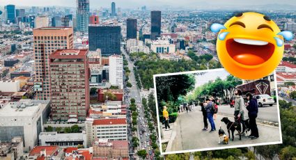 Por 'error', se activó la alerta sísmica en la CDMX... y dejó los mejores memes