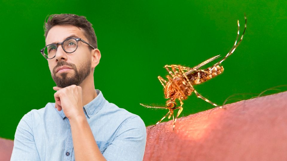 Fue detectado por primera vez en el año de 1955, cerca del río Oropouche en Trinidad y Tobago.