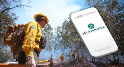 Qué es “Mi ambiente”, nueva app lanzada para realizar denuncias ambientales