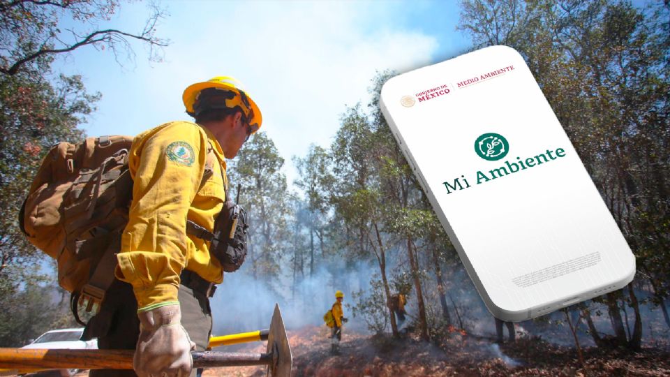 La app “Mi ambiente” busca contribuir a la prevención de incendios forestales.