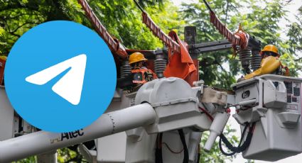 Así puedes descargar tu recibo de la CFE usando Telegram de manera sencilla