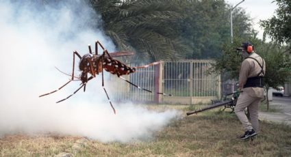 26 de Agosto: Día Internacional del dengue, aumentan casos en Nuevo León