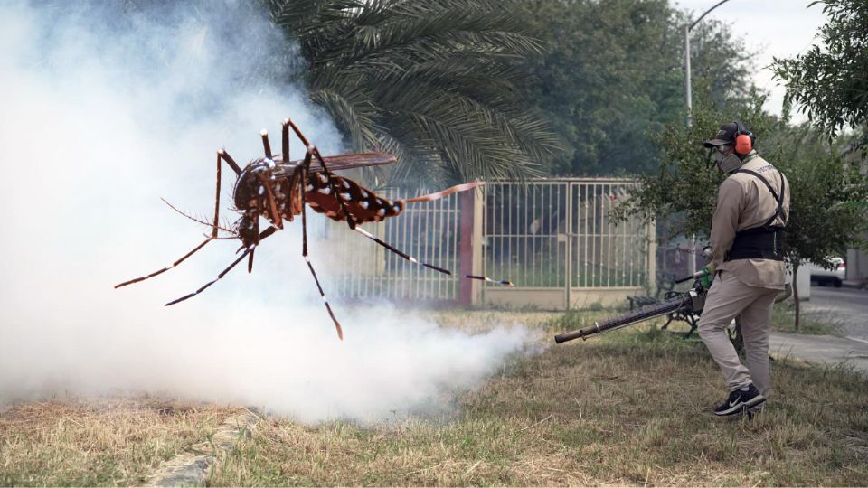 Personal de la Secretaría de Salud mantiene operativos de combate contra el mosquito trasmisor del dengue.