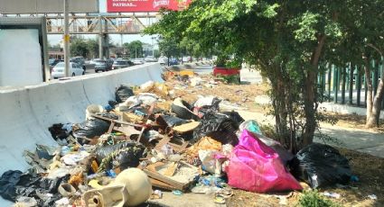 Denuncian basurero clandestino en la colonia Hogares Ferrocarrileros en Monterrey