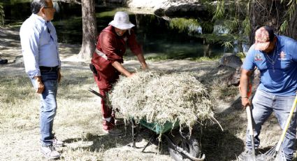 Refuerzan lucha contra dengue, zika y chikunguya en Escobedo