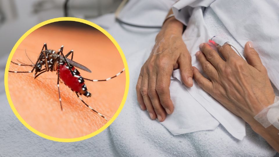 La infección se puede transmitir mediante mosquitos.