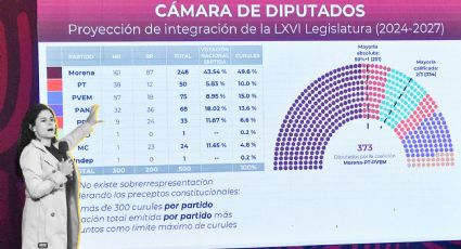 'Imposibilidad de darle diputados de representación proporcional a las coaliciones, es absurdo'