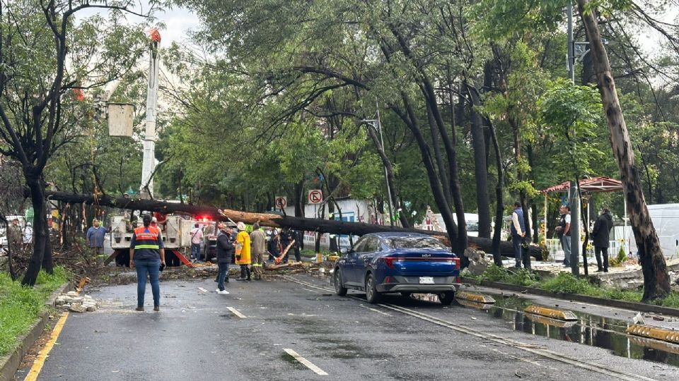 Las fuertes lluvias hivieron de las suyas es diversas partes de la CDMX.