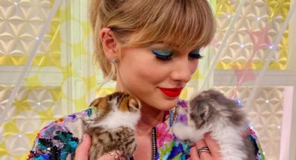 Taylor Swift: así se llaman los gatos que son protagonistas en su vida y carrera