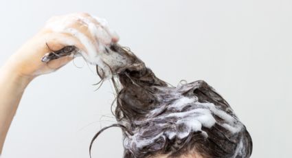 Profeco revela el mejor shampoo para cabello maltratado