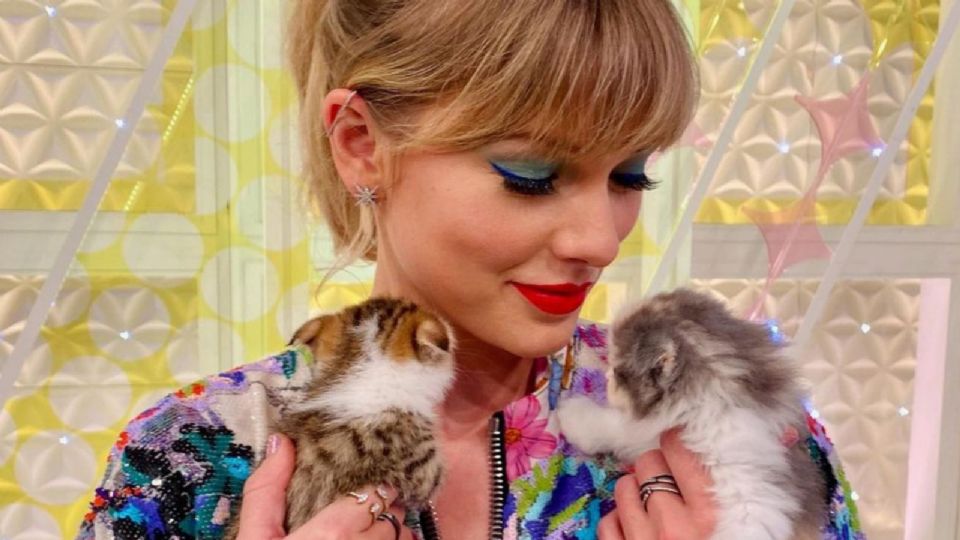 ¿Cuál es la historia del nombre de los gatos de Taylor Swift?