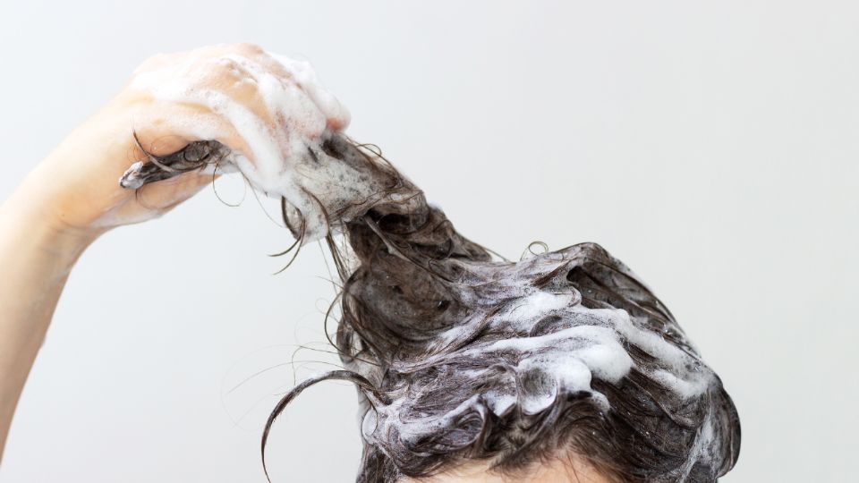 Profeco revela el mejor shampoo para cabello maltratado