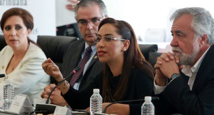 Adriana Dávila denuncia intromisión en proceso interno del PAN