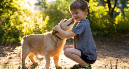 ¿Por qué duele la pérdida de una mascota y cómo superarla?