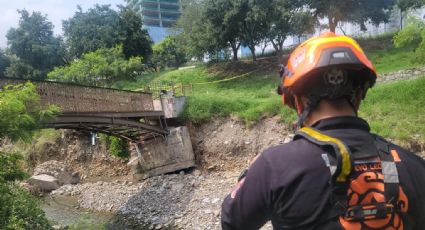 Cae puente peatonal en el parque Rufino Tamayo en San Pedro