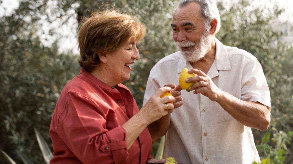 Los factores que influyen en un envejecimiento saludable incluyen el entorno físico y social.