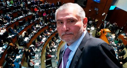 Adán Augusto López y sus razones para controlar el presupuesto del Senado, según Mario Maldonado