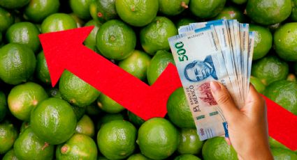 INEGI: inflación se ubica en 4.66 % en primera quincena de septiembre; ¿qué productos subieron de precio?