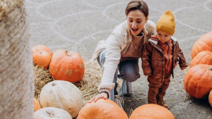 Parque de las Calabazas en Monterrey ¿Cuánto cuesta y qué incluye la entrada?