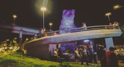 Osos gigantes "invaden" el sur de Monterrey