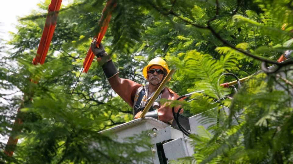 La CFE envió 472 trabajadores electricistas, 72 grúas, 147 vehículos y 7 plantas de emergencia para reestablece el servicio eléctrico en Quintana Roo.