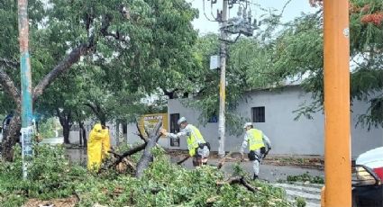 Más de 2 mil elementos de Guardia Nacional y Ejército auxilian a los afectados por el huracán Helene