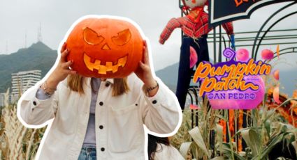 Pumpkin Patch en San Pedro: Ideas para decorar tu calabaza