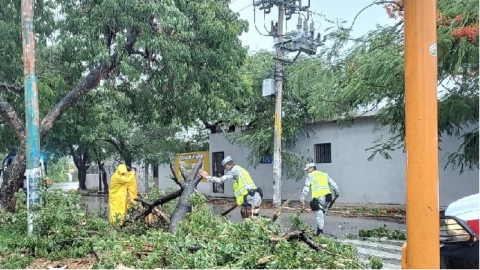 Elementos de la Guardia Nacional realizan recorridos terrestres para identificar zonas afectadas por el huracán Helene y evitar actos de rapiña.
