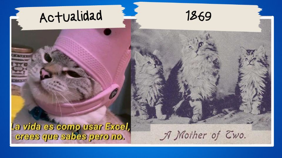 ¿Sabias que los memes de gato estaban desde antes del internet?