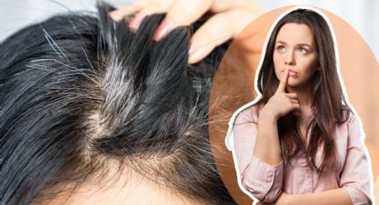 ¿Por qué salen las canas, existe tratamiento para evitarlas?