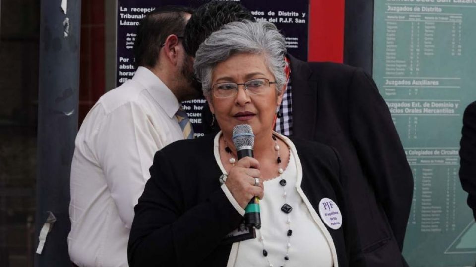 Aguayo pidió a la ministra Lenia Batres Guadarrama estudiar antes de elaborar un proyecto de resolución