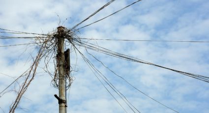 Adrián de la Garza anuncia que eliminará 'telarañas' en Monterrey en tres años