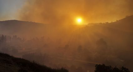 Claudia Sheinbaum confirma que enviarán apoyo para combatir incendios forestales en Los Ángeles