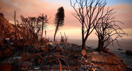 Especialistas en combate al fuego del gobierno mexicano acuden a California