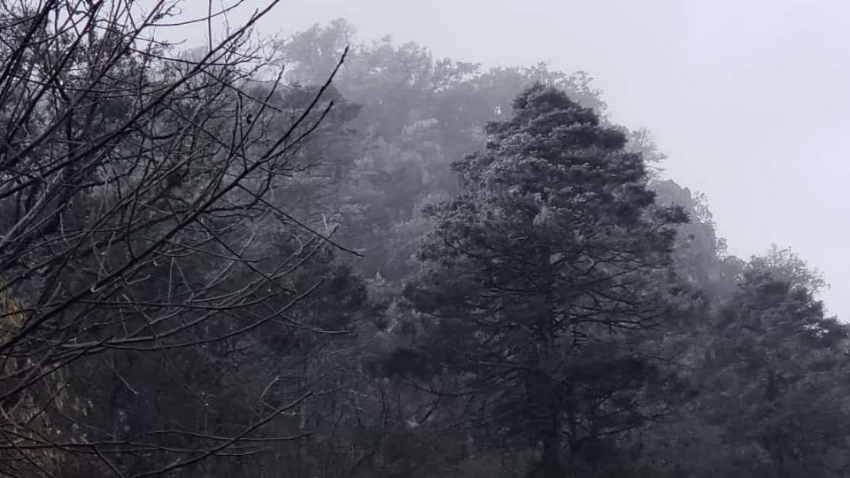 La Sierra de Santiago se cubre de blanco por la caída de aguanieve.