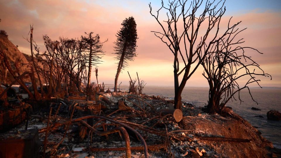 Gobierno de México apoyará a combatir incendios en California.