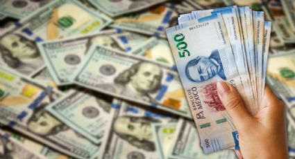 Precio del dólar 11 enero 2025: ¿Cómo cotiza frente al peso mexicano?