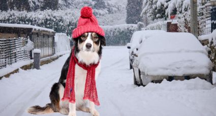 Frente frío 23: ¿Cuál día es más probable a que caiga nieve en Monterrey?