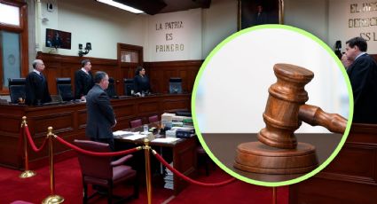 'Comité del Poder Judicial no decidió suspender labores de elección judicial': María Emilia Molina