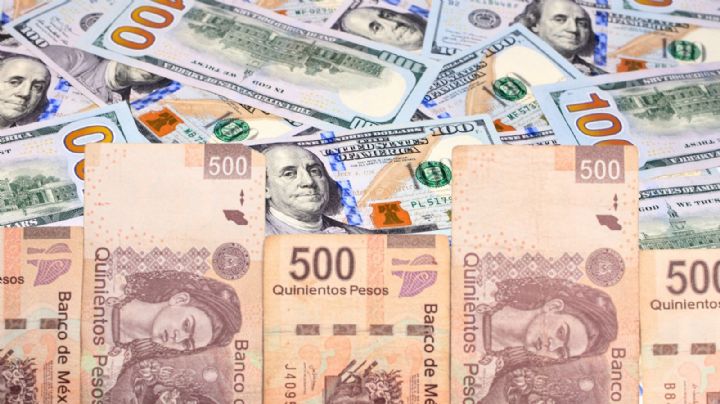 Precio del dólar hoy 14 de enero de 2025: Así cotiza frente al peso mexicano en los bancos