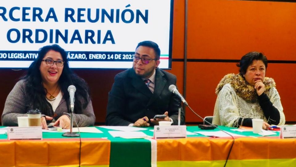 Comisión de Diversidad de la Cámara de Diputados.