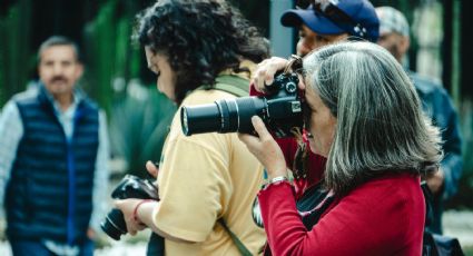 CIMAC reporta 204 agresiones contra mujeres periodistas en 2024