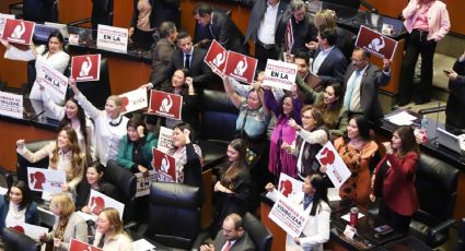 Respaldo al Plan México anunciado por Claudia Sheinbaum, expresan senadores de Morena