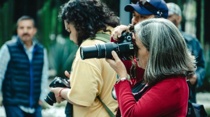 CIMAC reporta 204 agresiones contra mujeres periodistas en 2024