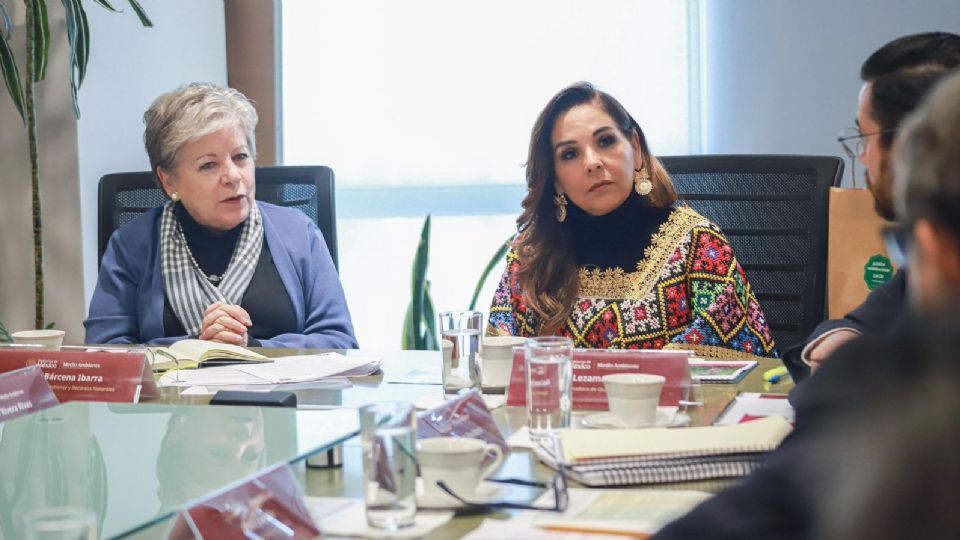 Mara Lezama y Alicia Bárcena trabajan juntos por la diversificación económica de la selva maya.