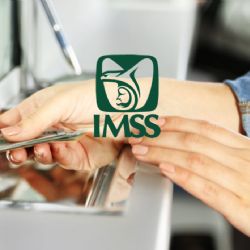 Pensión IMSS: cuándo depositan el pago de febrero 2025